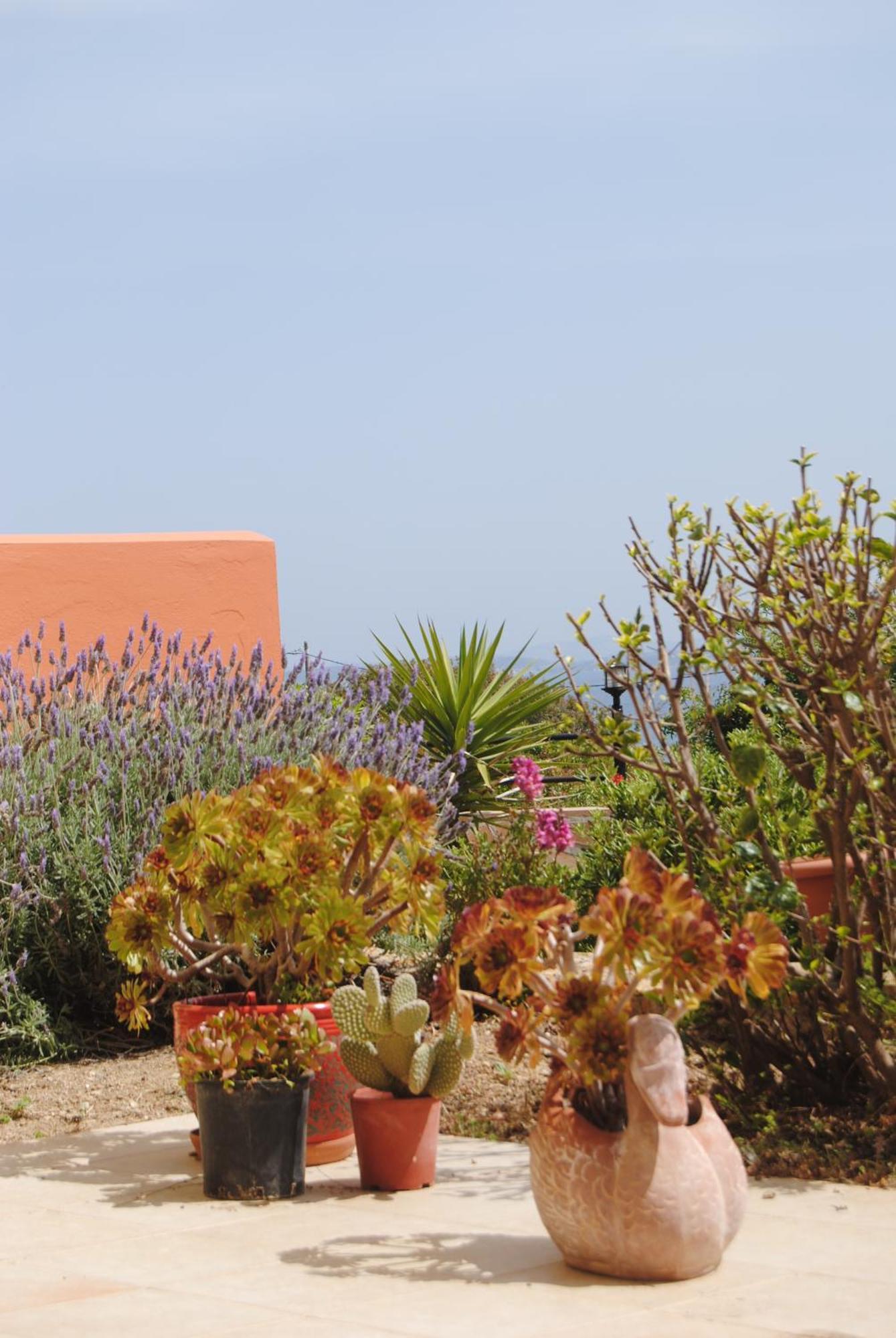 Maria Rooms Agia Ermioni ภายนอก รูปภาพ