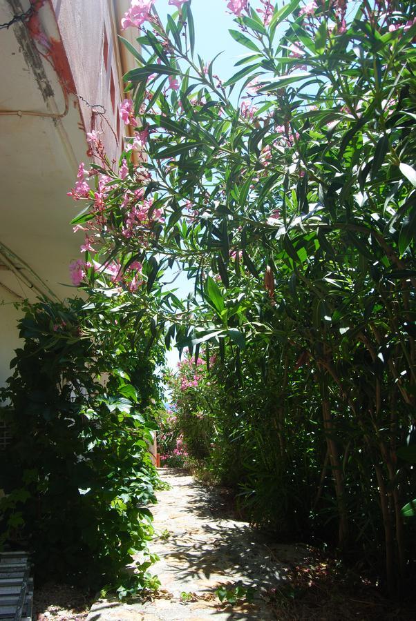 Maria Rooms Agia Ermioni ภายนอก รูปภาพ
